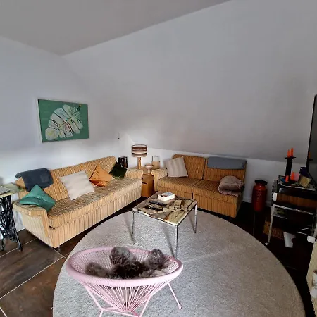 Manjana'S Waldblick Apartment Braunlage Exterior photo