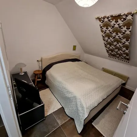 Manjana'S Waldblick Apartment Braunlage Exterior photo